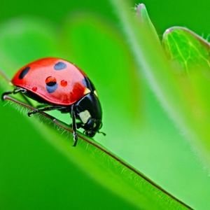 Meet your Posher, Dee